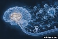 Brain Treatment That Mimics Exercise May Slow Cognitive Decline