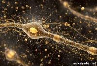 How the Brain Uses Fat Stores for Energy During Exercise
