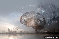 PFAS Chemicals Linked to Altered Brain Development in Children