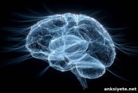 Why Your Brain Is Wired for Gossip
