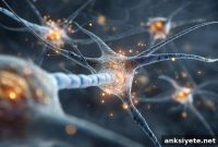 Stem Cell Grafts May Repair Myelin in Multiple Sclerosis
