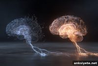 Prozac Timing Affects Long-Term Mood and Brain