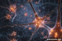 How Astrocytes Orchestrate Brain Rhythms