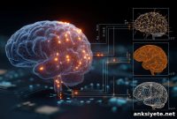 Inverse Graphics: How the Brain Converts 2D Images to 3D