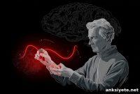 Midlife Blood Biomarkers Predict Alzheimer’s Risk