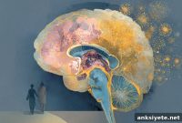 Hepatitis C in Brain Lining Linked to Schizophrenia, Bipolar