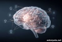 Neuroscience: How the Brain Decodes Social Emotions and Anxiety