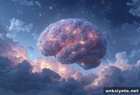 How the Sleeping Brain Reveals Undiagnosed Disorders