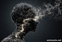 How Tiny AI Models Reveal Human Decision Making