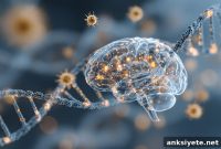 Why Antidepressants Help Some People More Than Others
