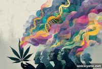 How Genetics Link Cannabis Use Disorder to Mental Illness