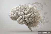 Most Mental Disorders Occur Without Family or Genetic History