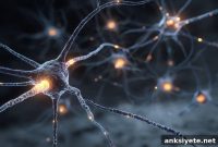 Synaptic Tau and Astrocytes Fuel PSP Progression