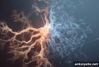 Epigenetic Clock Finds Compounds That Rejuvenate Brain Cells