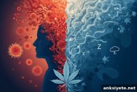 Inflammation Alters How Cannabis Affects Anxiety and Sleep