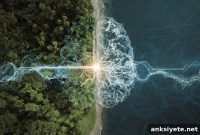Fight, Flight, or Freeze: How the Brain Decides