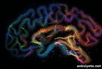Why Your Brain Remaps the Same Route Each Time