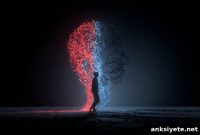 Emotional Pain Circuit in Brain Drives Cocaine Relapse