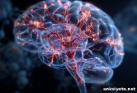 Math Models Explain Alzheimer’s Targeting of Brain Regions