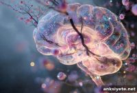 Could Mental Illness Begin Before Birth?