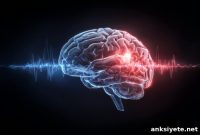 How the Brain Replays Emotional Memories