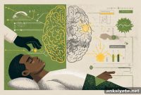 How Expectations Shape Your Pain Experience