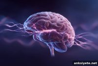 Scientists Discover Brain Mechanism That Controls Sensory Input