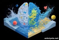 Brain Uses Distinct Neural Circuits to Separate Stuff and Things