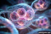 Targeting Nuclear Speckles Could Stop Alzheimer’s Progression