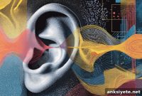 Musicians Lack an Advantage in Early Auditory Processing