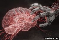 Phantom Limb Map Persists in Brain, Challenging Plasticity