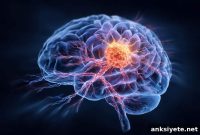 Head Injuries May Raise Your Brain Cancer Risk