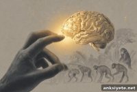 Thumb Length Predicts Brain Size and Cognitive Ability