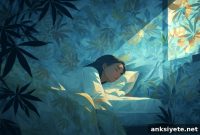 Study Finds Cannabis Linked to Lower Insomnia and Anxiety