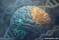 Study Identifies Brain Cell Type Linked to Depression