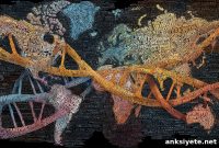 Genetic Study Reveals How Human Contact Shapes Language