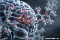 Freezing Brain Molecules May Halt Brain Cancer Metastasis