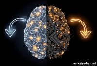 Human and AI Learning Strategies: How They Align