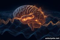 REM Sleep Reactivation Drives Memory Consolidation