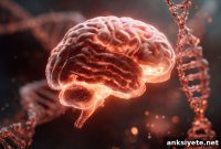 Brain Iron Levels Predict Future Cognitive Decline