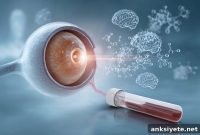 Retinal Protein Levels Predict Cognitive Decline