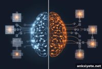 How the Brain Learns to See: The Neuroscience of Vision