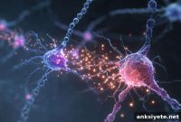 How an Alzheimer’s Gene Mutation Disrupts Exosome Production