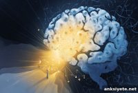 How the Brain Uses Landmarks to Navigate