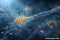 Nanoplastics Impair Brain Energy Metabolism and Memory