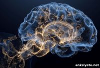How the Brain Tunes Rhythms to Shift Between Memory and Novelty