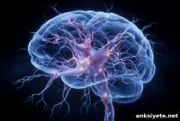 Sports Hits Linked to Early Brain Damage Years Before CTE