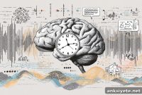 Faster Speech Doesn’t Improve Brain Processing Speed