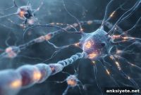 Brain Cell Crosstalk Reveals New Alzheimer’s Pathway