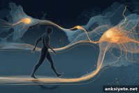 How the Brain Controls Balance and Movement